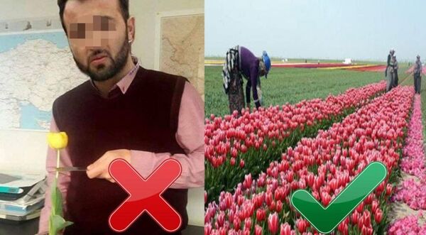 ‘Lalelere dikkat zira Hollanda lalelerinin anavatanı Asya’ - Sputnik Türkiye