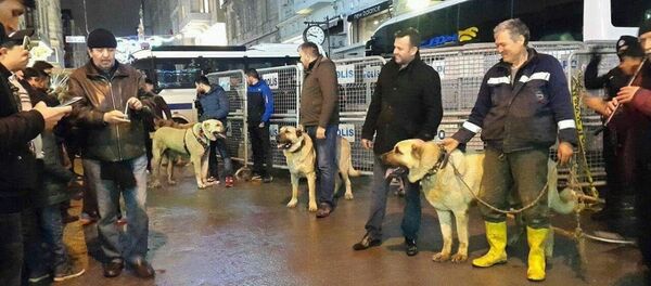 Hollanda Başkonsolosluğu önünde kangallı eylem - Sputnik Türkiye