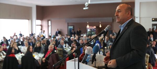 Dışişleri Bakanı Mevlüt Çavuşoğlu - Sputnik Türkiye