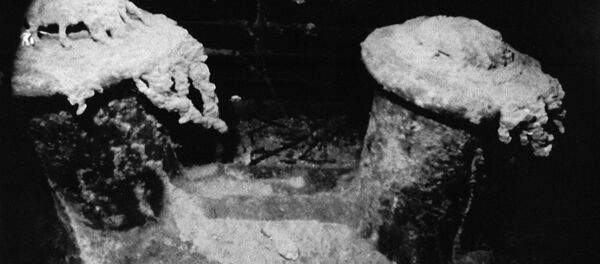 Titanik suyun altında çürüyor - Sputnik Türkiye