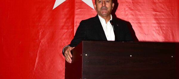 Dışişleri Bakanı Mevlüt Çavuşoğlu - Sputnik Türkiye