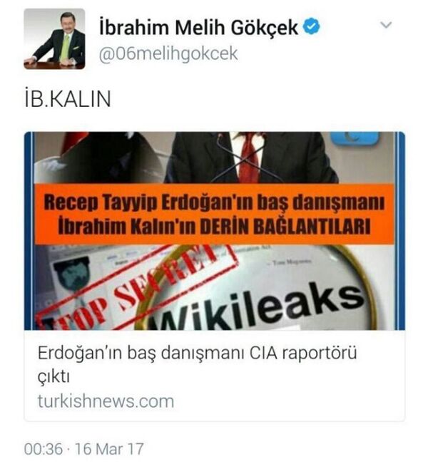 Gökçek'in attığı Kalın tweeti - Sputnik Türkiye