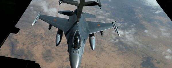 ABD savaş uçağı - Sputnik Türkiye