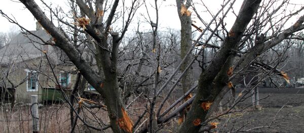 Donetsk - Sputnik Türkiye