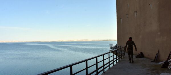 Fırat nehri- Suriye ordusu - Sputnik Türkiye