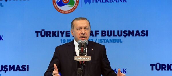Cumhurbaşkanı Recep Tayyip Erdoğan - Sputnik Türkiye