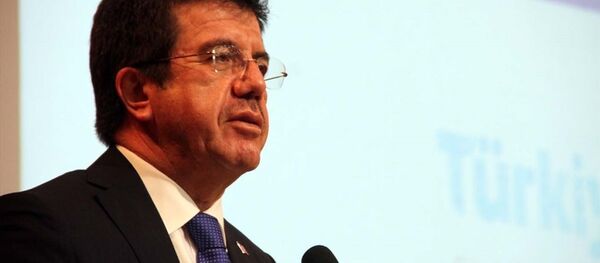 Ekonomi Bakanı Nihat Zeybekci - Sputnik Türkiye