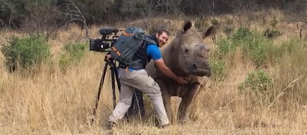 Gergedan - Sputnik Türkiye