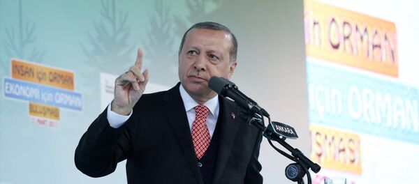 Cumhurbaşkanı Recep Tayyip Erdoğan - Sputnik Türkiye