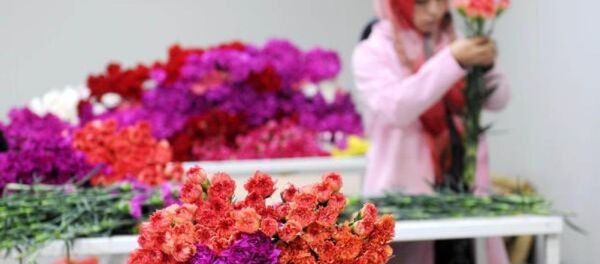 çiçek - çiçekçilik - Sputnik Türkiye