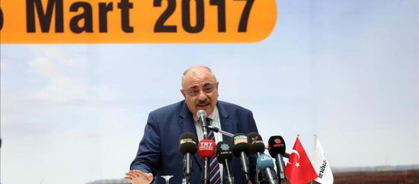 Tuğrul Türkeş - Sputnik Türkiye