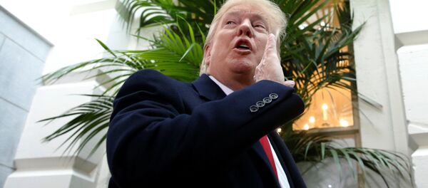 ABD Başkanı Donald Trump - Sputnik Türkiye