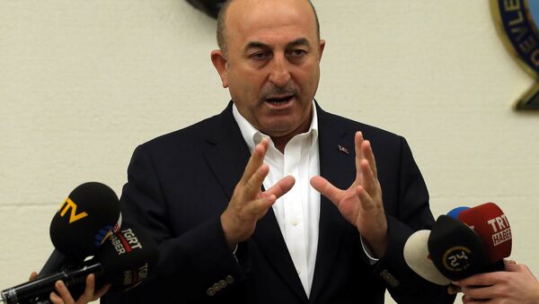 Dışişleri Bakanı Mevlüt Çavuşoğlu - Sputnik Türkiye