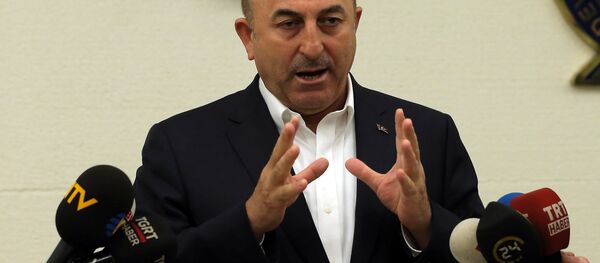 Dışişleri Bakanı Mevlüt Çavuşoğlu - Sputnik Türkiye