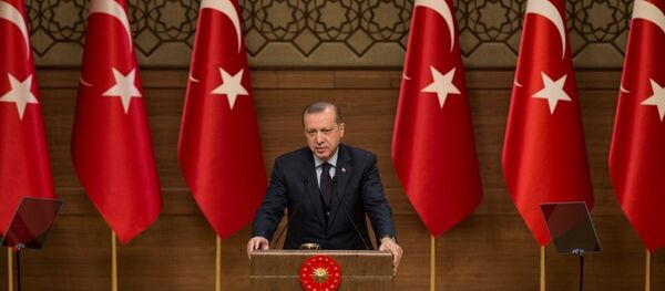 Cumhurbaşkanı Recep Tayyip Erdoğan - Sputnik Türkiye