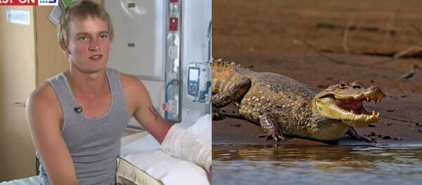 Lee De Paauw - Sputnik Türkiye