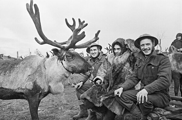 Sovyet çoban, İngiliz uçak mühendisleriyle Kuzey Kutup bölgesindeki bir havaalanında. - Sputnik Türkiye