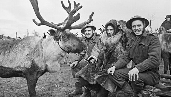 Sovyet çoban, İngiliz uçak mühendisleriyle Kuzey Kutup bölgesindeki bir havaalanında. - Sputnik Türkiye