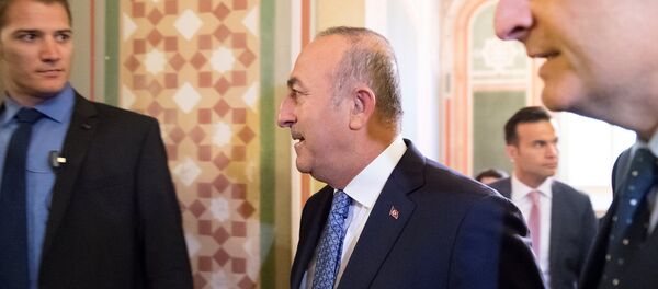Dışişleri Bakanı Mevlüt Çavuşoğlu - Sputnik Türkiye
