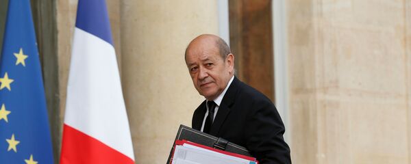Fransa Savunma Bakanı Jean-Yves Le Drian - Sputnik Türkiye