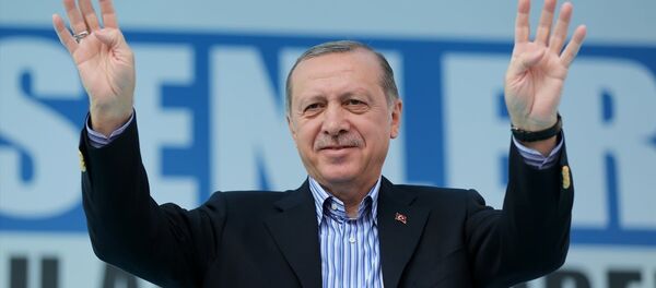 Cumhurbaşkanı Recep Tayyip Erdoğan - Sputnik Türkiye