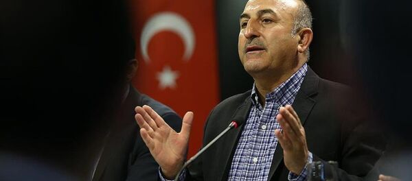Mevlüt Çavuşoğlu Mevlüt Çavuşoğlu - Sputnik Türkiye