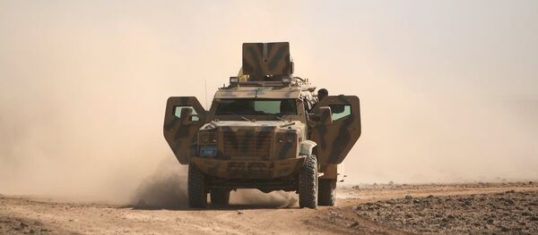 DSG - Rakka - Sputnik Türkiye