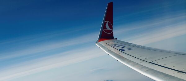 Türk Hava Yolları (THY) / Boeing 737-800 - Sputnik Türkiye