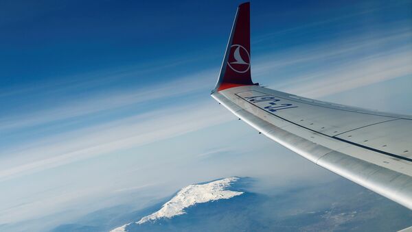 Türk Hava Yolları (THY) / Boeing 737-800 - Sputnik Türkiye