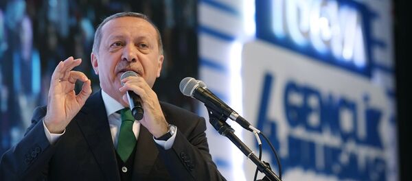 Cumhurbaşkanı Recep Tayyip Erdoğan - Sputnik Türkiye