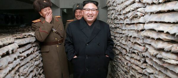 Kuzey Kore lideri Kim Jong-un - Sputnik Türkiye