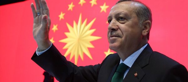 Recep Tayyip Erdoğan / Cumhurbaşkanlığı forsu - Sputnik Türkiye