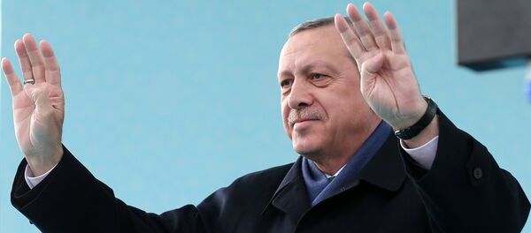 Cumhurbaşkanı Recep Tayyip Erdoğan - Sputnik Türkiye