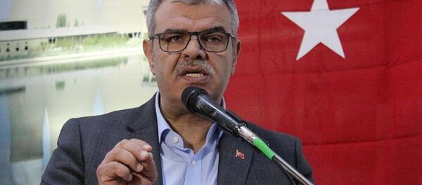 Veysi Kaynak - Sputnik Türkiye