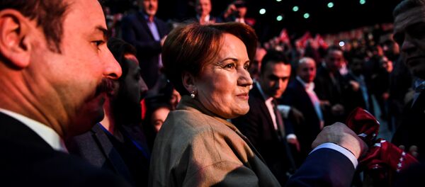 Meral Akşener - Sputnik Türkiye