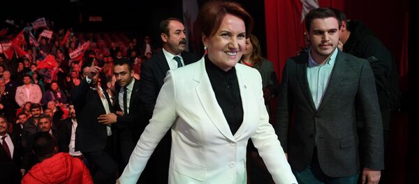 Meral Akşener Meral Akşener - Sputnik Türkiye