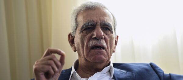 Ahmet Türk - Sputnik Türkiye