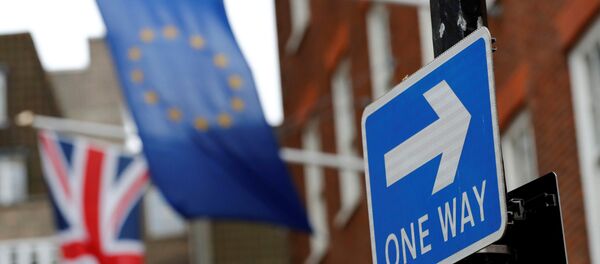 İngiltere / AB / Brexit - Sputnik Türkiye