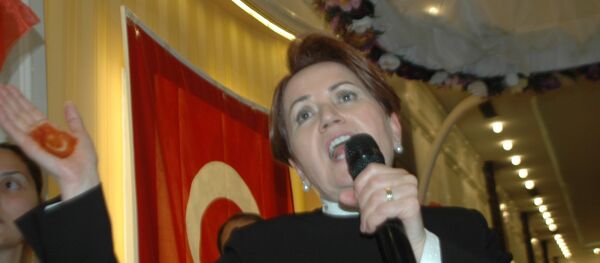 Meral Akşener - Sputnik Türkiye