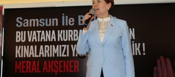 Meral Akşener - Sputnik Türkiye