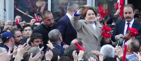 MHP'den ihraç edilen Meral Akşener - Sputnik Türkiye