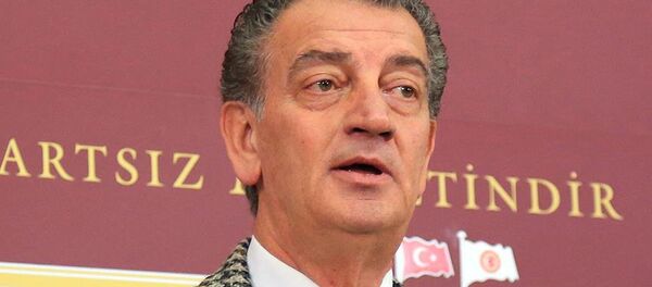 Hüsnü Bozkurt - Sputnik Türkiye