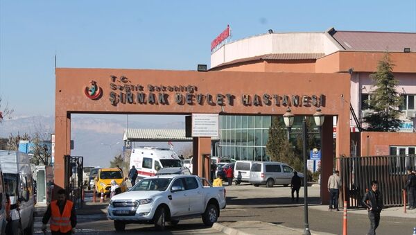 Şırnak Devlet Hastanesi - Sputnik Türkiye