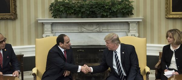 Donald Trump - Abdulfettah el Sisi - Sputnik Türkiye