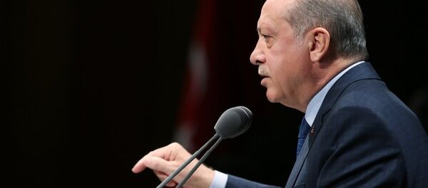 Cumhurbaşkanı Recep Tayyip Erdoğan - Sputnik Türkiye