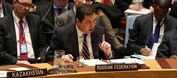 Rusya'nın Birleşmiş Milletler (BM) Daimi Temsilci Yardımcısı Vladimir Safronkov - Sputnik Türkiye