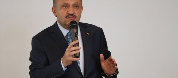 Milli Savunma Bakanı Fikri Işık - Sputnik Türkiye