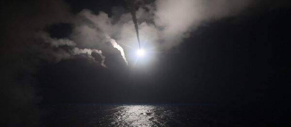 ABD, Suriye'deki bir hava üssünü füzelerle vurdu - Sputnik Türkiye