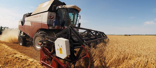 Rusya'nın Krasnodar bölgesinde bir tarım arazisi - Sputnik Türkiye