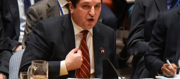 Rusya'nın (BM) Daimi Temsilci Yardımcısı Vladimir Safronkov - Sputnik Türkiye